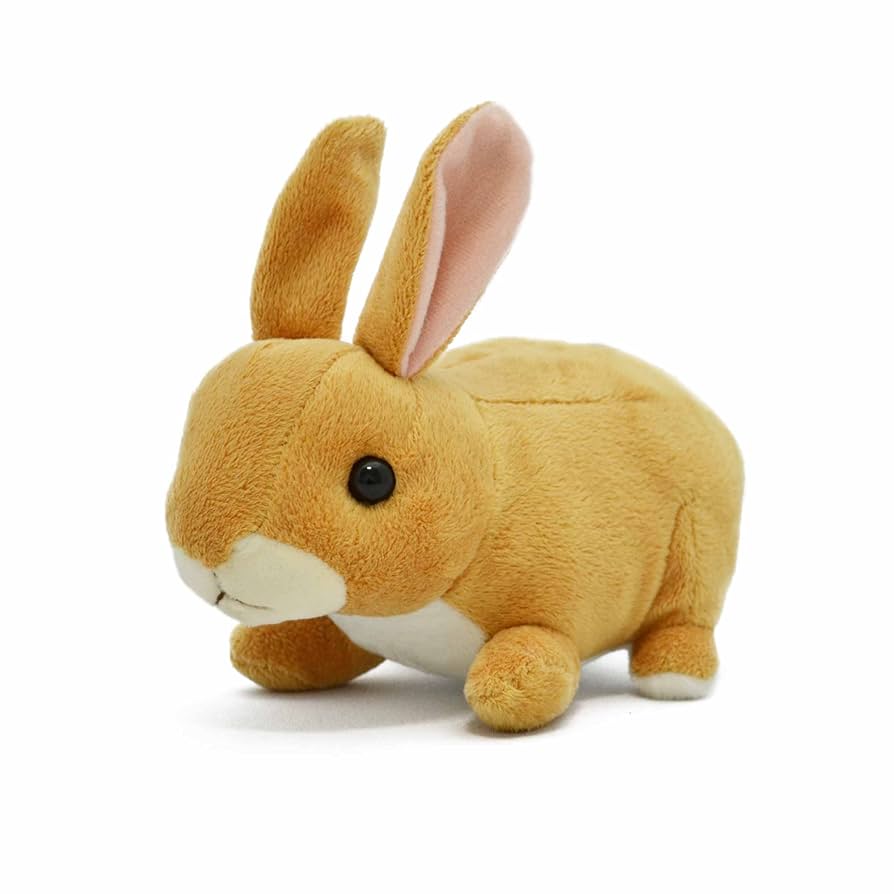  ぬいぐるみ うさぎ ベージュ Mサイズ あぼさま専用 Amazon.co.jp: AQUA ぬいぐるみ ファーム もちもち うさぎ